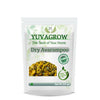 https://cdn.shopify.com/s/files/1/1857/6931/products/Q6GyYU72wU.jpg?v=1762373984