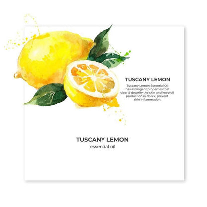 https://cdn.shopify.com/s/files/1/1857/6931/products/QACRrSoWch.jpg?v=1627612127