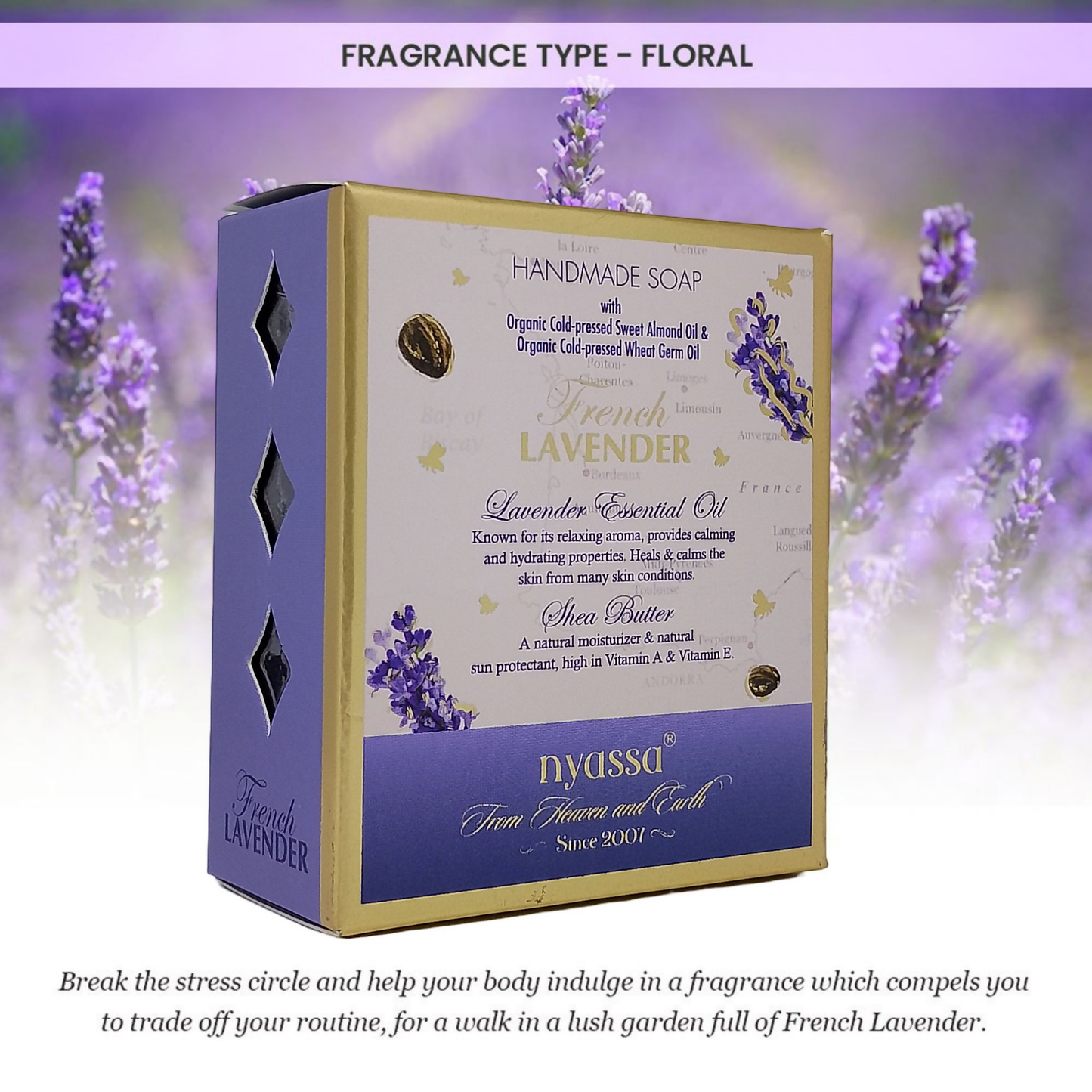 https://cdn.shopify.com/s/files/1/1857/6931/files/QBJflVecb3.png?v=1779259571
