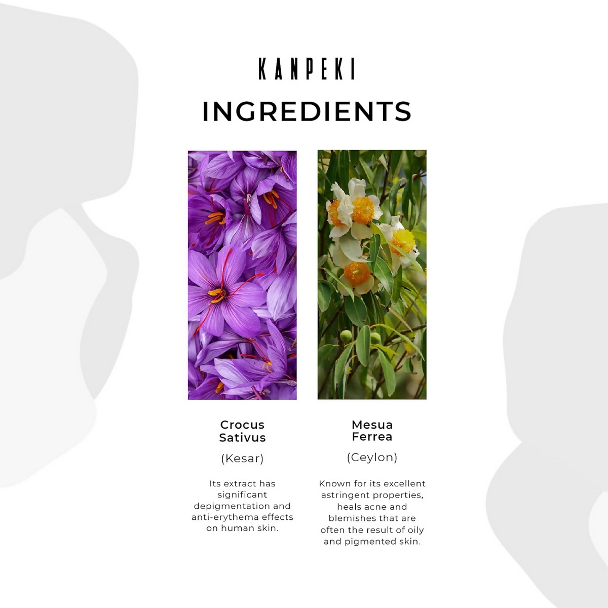 https://cdn.shopify.com/s/files/1/1857/6931/files/QEBn1GaL07.png?v=1728279328