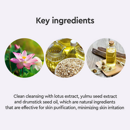 https://cdn.shopify.com/s/files/1/1857/6931/files/QEbkm7XjRw.png?v=1727784441