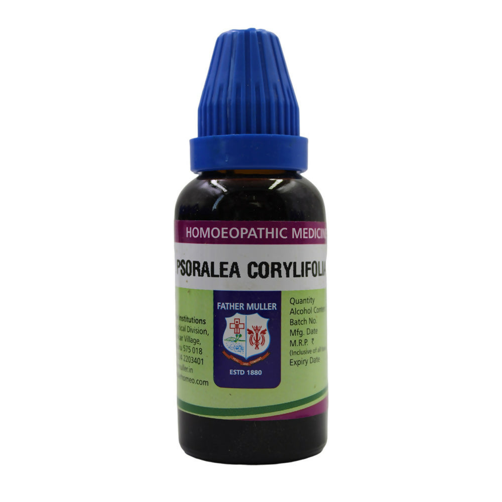 https://cdn.shopify.com/s/files/1/1857/6931/files/QIfrMscbbO.jpg?v=1717061319