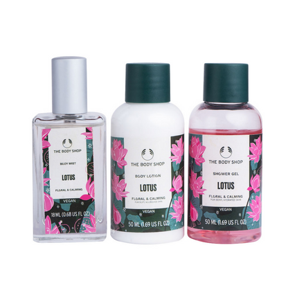 https://cdn.shopify.com/s/files/1/1857/6931/files/QKkZw9zOz8.png?v=1767180609