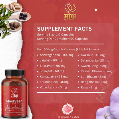 https://cdn.shopify.com/s/files/1/1857/6931/files/QLiw88KlJk.png?v=1728047880