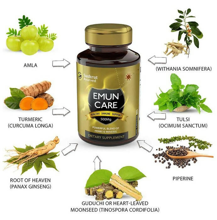 https://cdn.shopify.com/s/files/1/1857/6931/products/QMxHMedhOb.jpg?v=1699858697