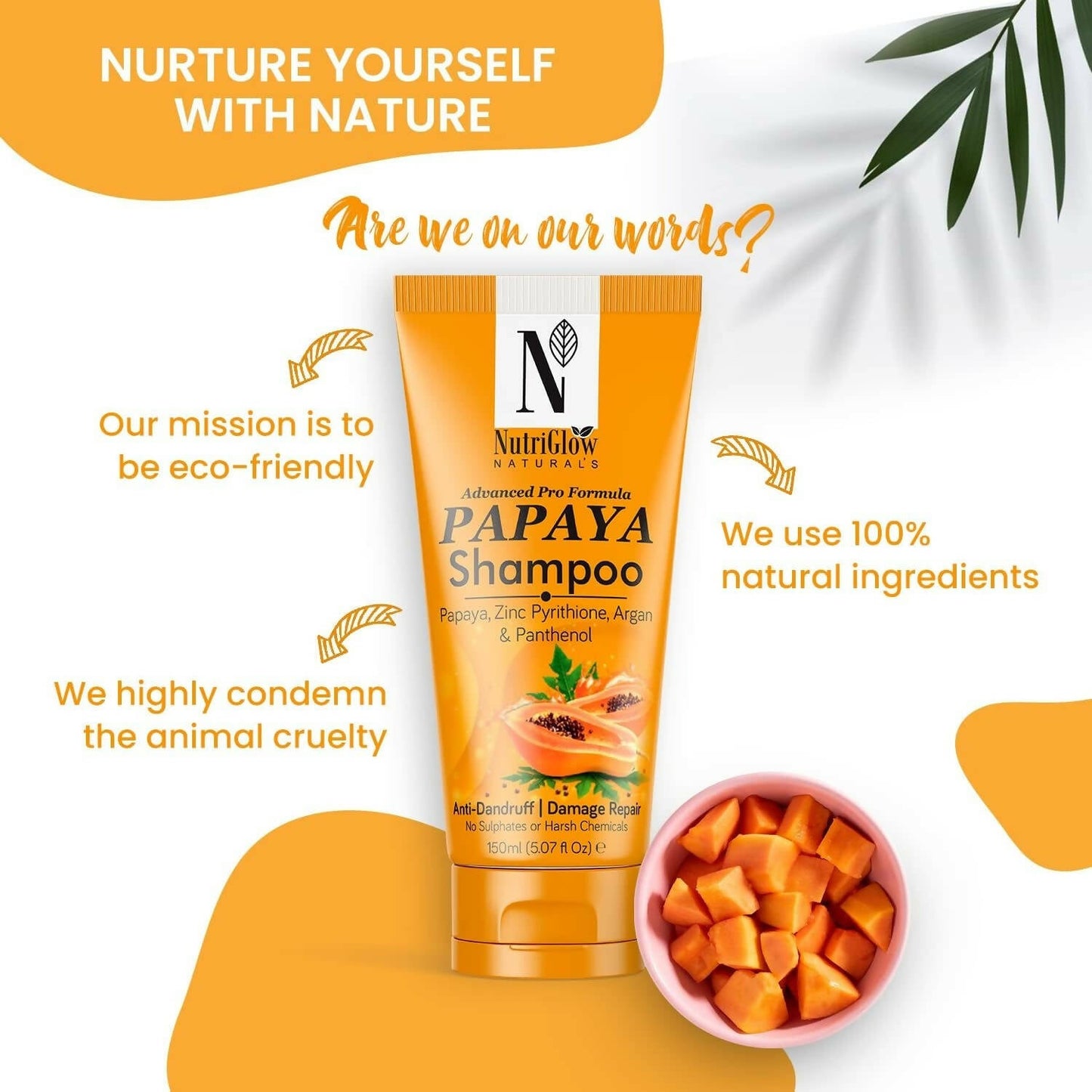 https://cdn.shopify.com/s/files/1/1857/6931/products/QOXS1nQpBs.jpg?v=1680871343