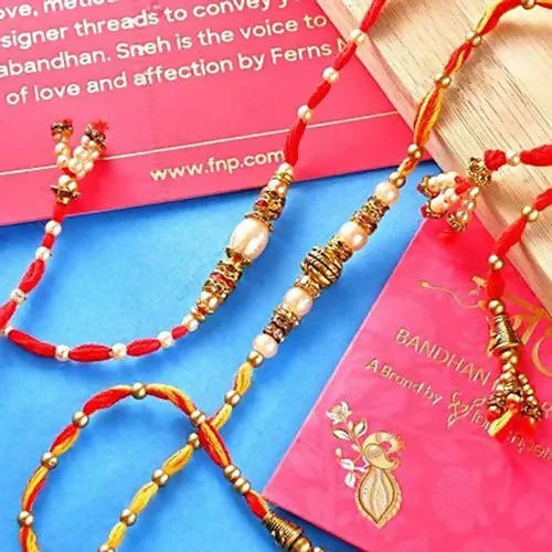 https://cdn.shopify.com/s/files/1/1857/6931/products/QRGMP25PvD.jpg?v=1628493897