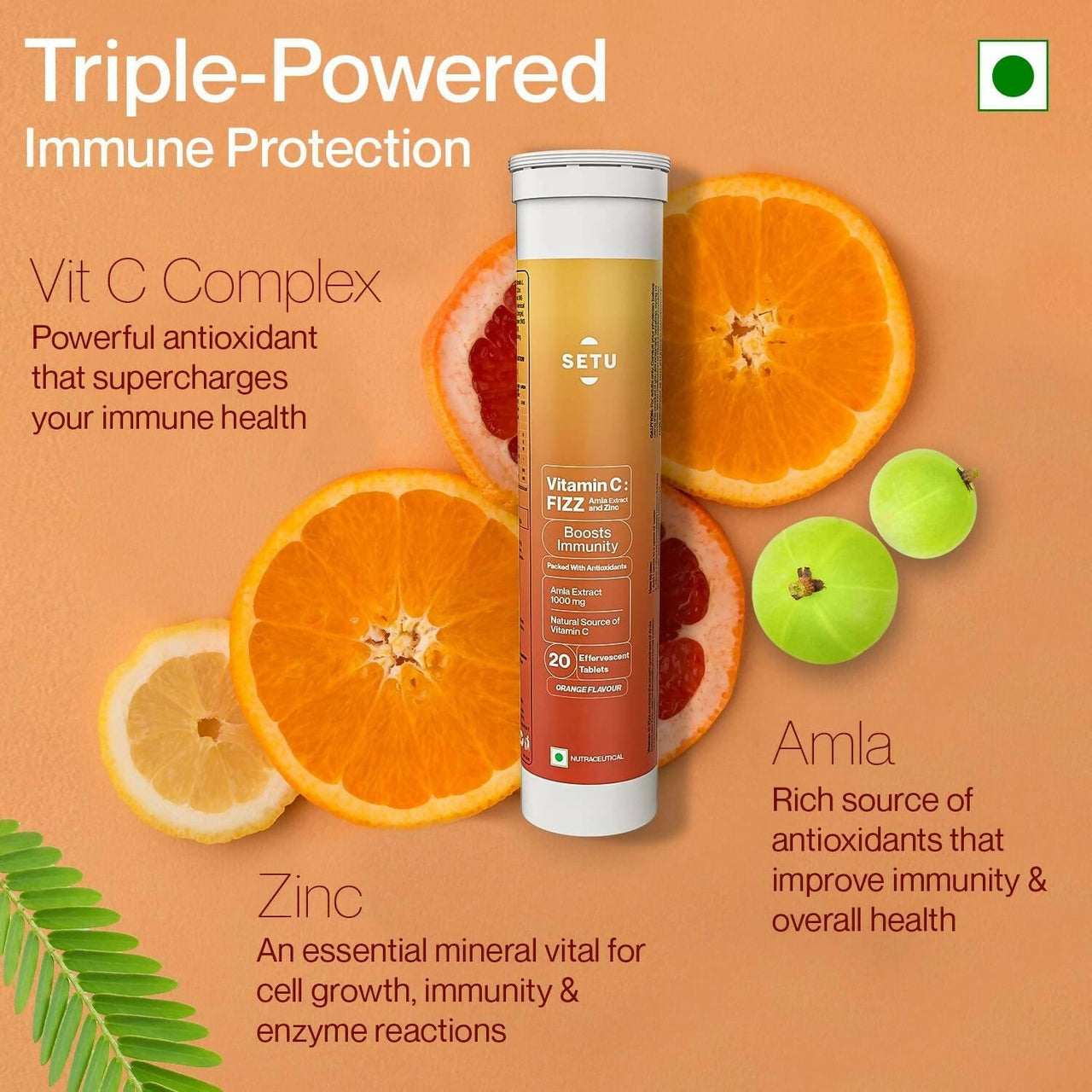 https://cdn.shopify.com/s/files/1/1857/6931/products/QYQqtxoFki.jpg?v=1754476959