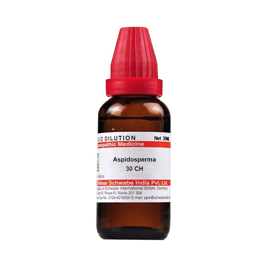 https://cdn.shopify.com/s/files/1/1857/6931/products/Qe6ENMulGc.jpg?v=1641468874