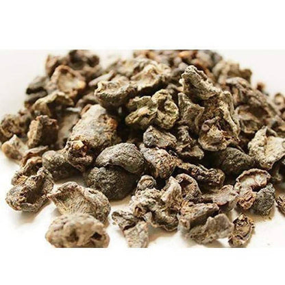 https://cdn.shopify.com/s/files/1/1857/6931/products/QeCf28WGK0.jpg?v=1634362720