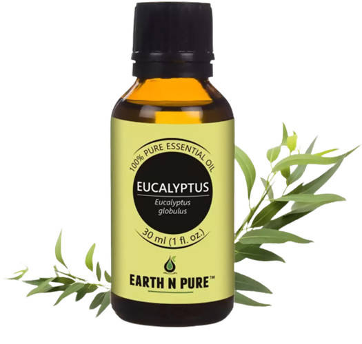 https://cdn.shopify.com/s/files/1/1857/6931/products/QgbC4BfASE.jpg?v=1646137590