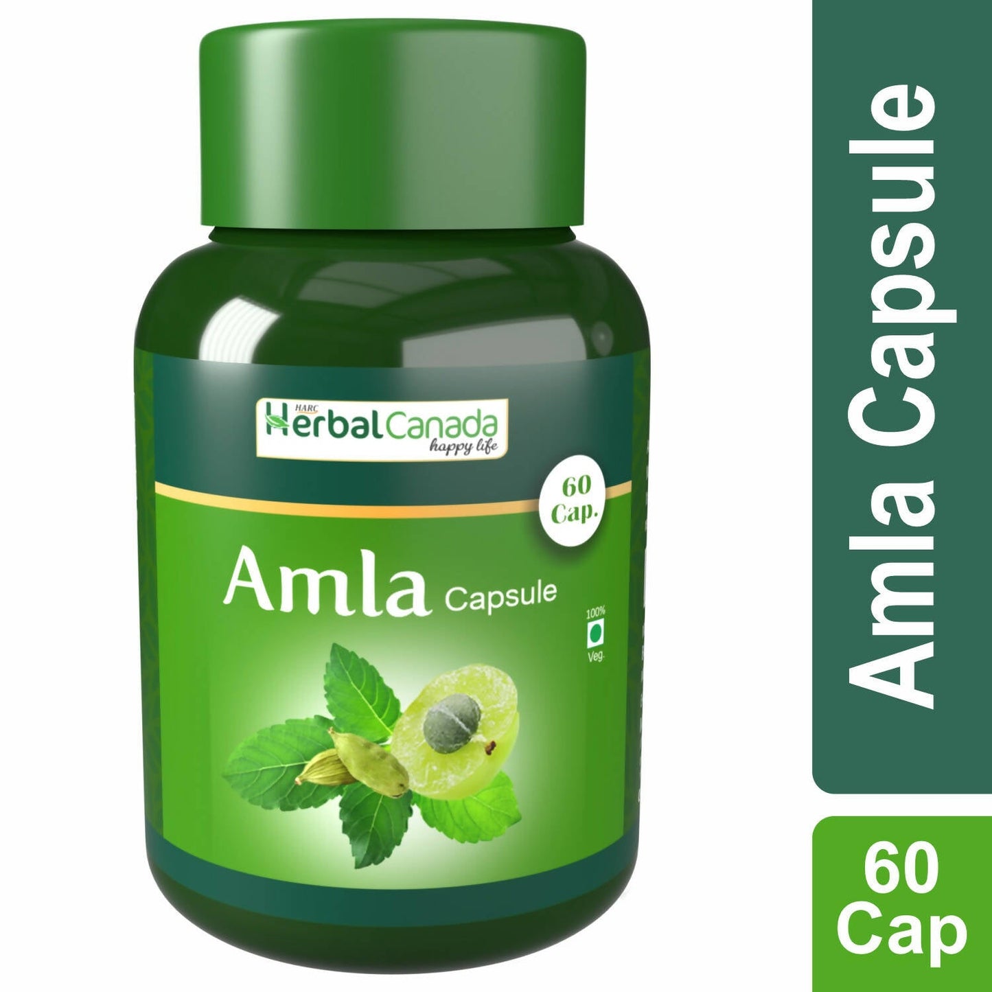 https://cdn.shopify.com/s/files/1/1857/6931/products/QinjLyWXLJ.jpg?v=1702465891