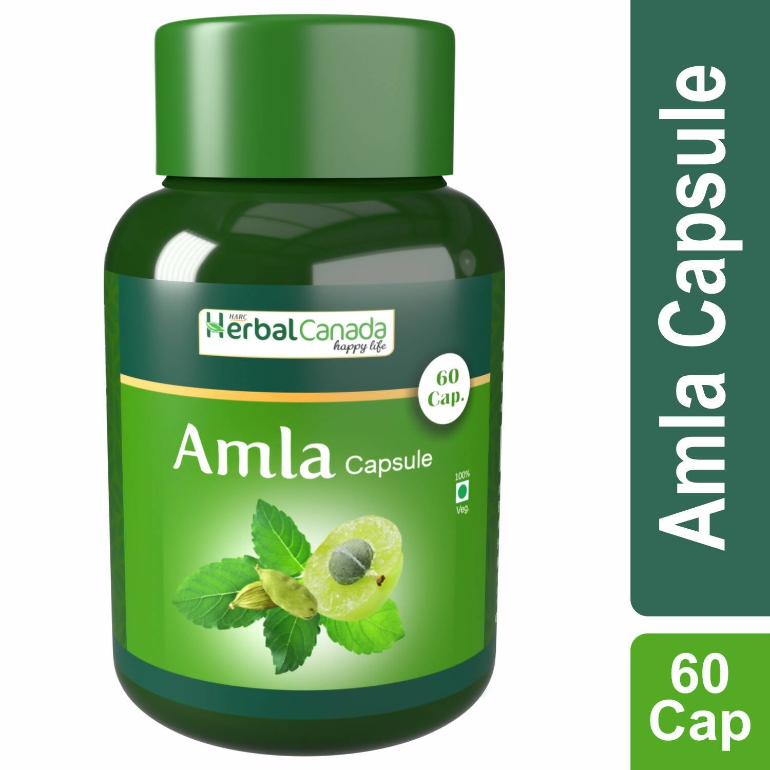 https://cdn.shopify.com/s/files/1/1857/6931/products/QinjLyWXLJ.jpg?v=1702465891