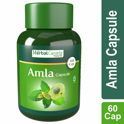 https://cdn.shopify.com/s/files/1/1857/6931/products/QinjLyWXLJ.jpg?v=1702465891