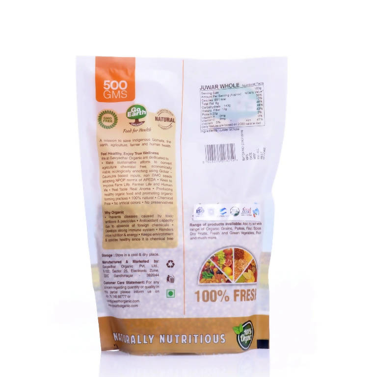 https://cdn.shopify.com/s/files/1/1857/6931/products/QjPNvdhejL.jpg?v=1654854901