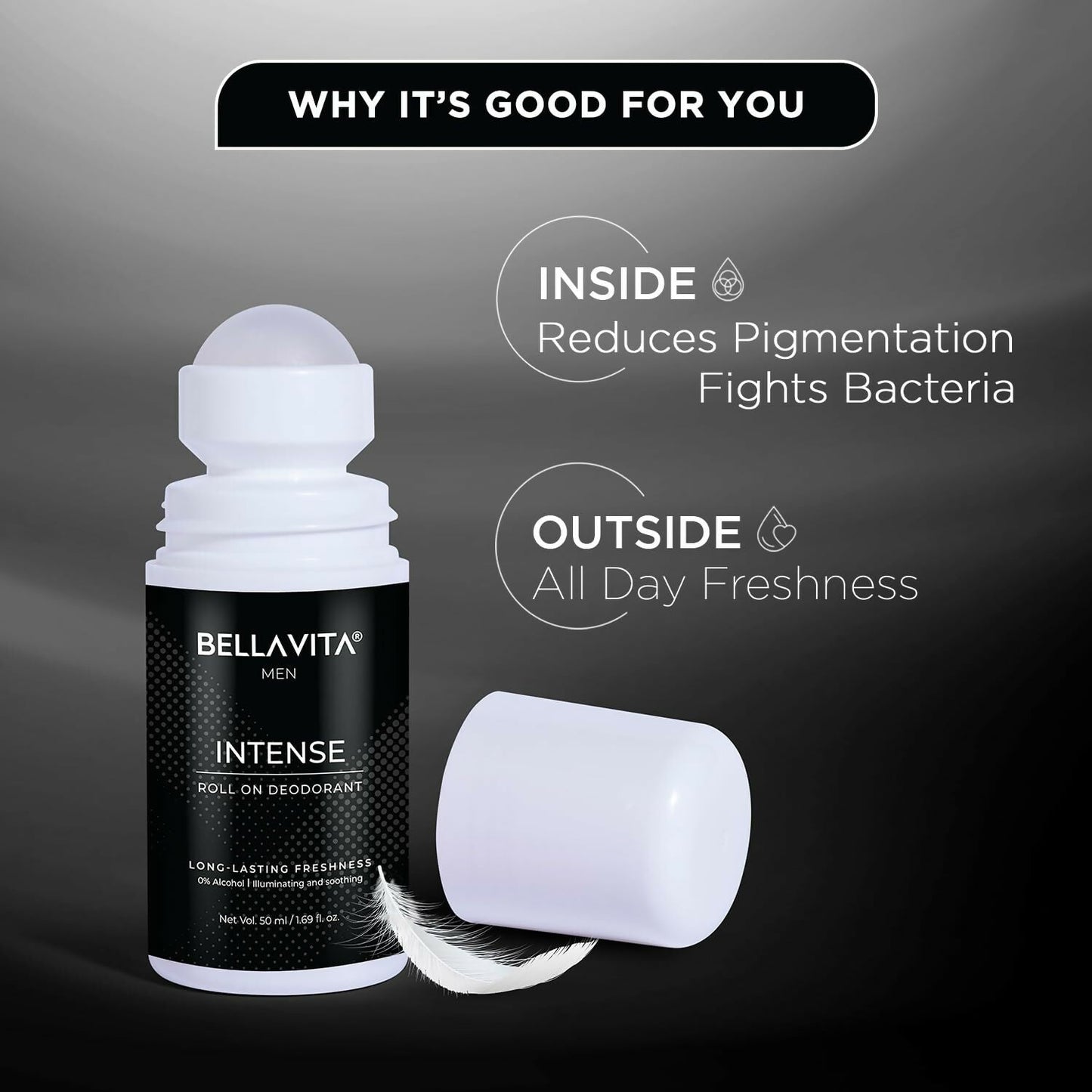 https://cdn.shopify.com/s/files/1/1857/6931/files/QmBtk9orft.jpg?v=1729166475