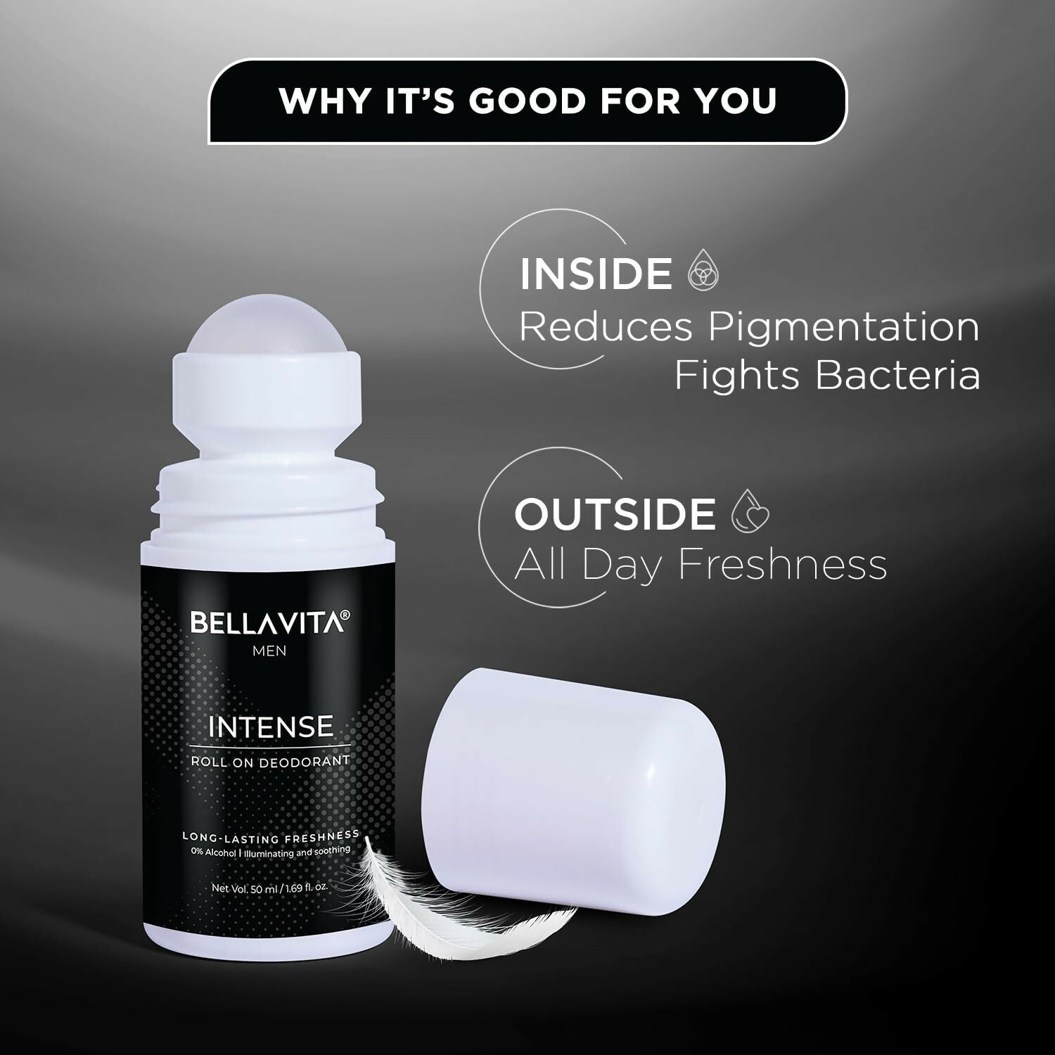 https://cdn.shopify.com/s/files/1/1857/6931/files/QmBtk9orft.jpg?v=1729166475
