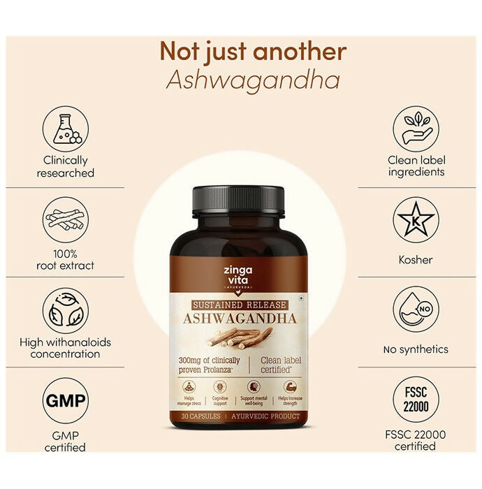 https://cdn.shopify.com/s/files/1/1857/6931/files/QnQx8siDW4.jpg?v=1711105403