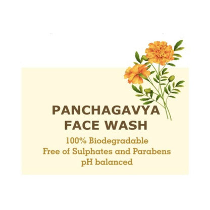 https://cdn.shopify.com/s/files/1/1857/6931/products/QqYm8ny7VA.jpg?v=1762423945