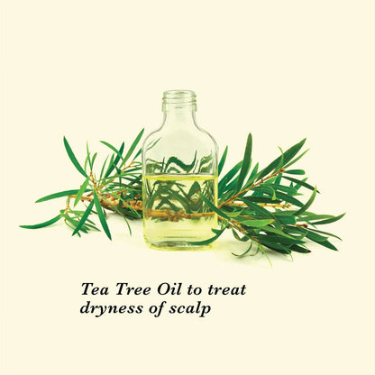 https://cdn.shopify.com/s/files/1/1857/6931/products/QtIHfBsjOE.jpg?v=1627008123