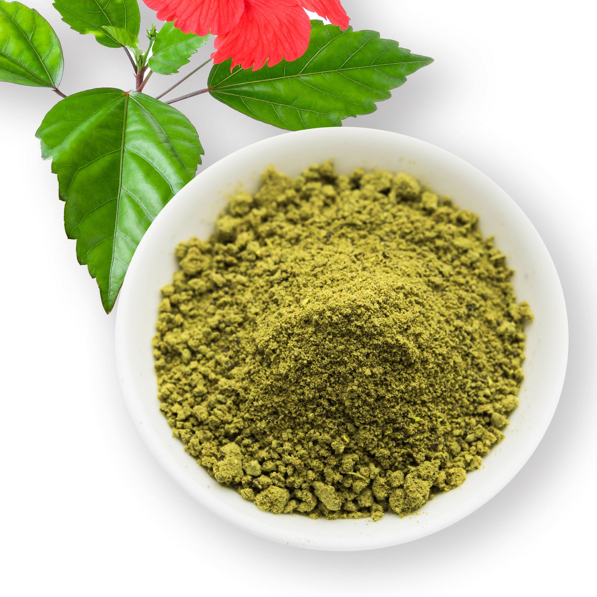 https://cdn.shopify.com/s/files/1/1857/6931/files/Qtd3gezLAQ.jpg?v=1729842807
