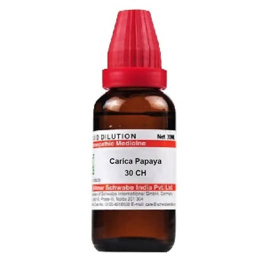 Image 1 of 30 CH / 30 ml for the product Dr. Willmar Schwabe India Carica Papaya Dilution