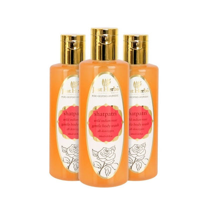 https://cdn.shopify.com/s/files/1/1857/6931/products/Qy9IRmOolA.jpg?v=1624075403