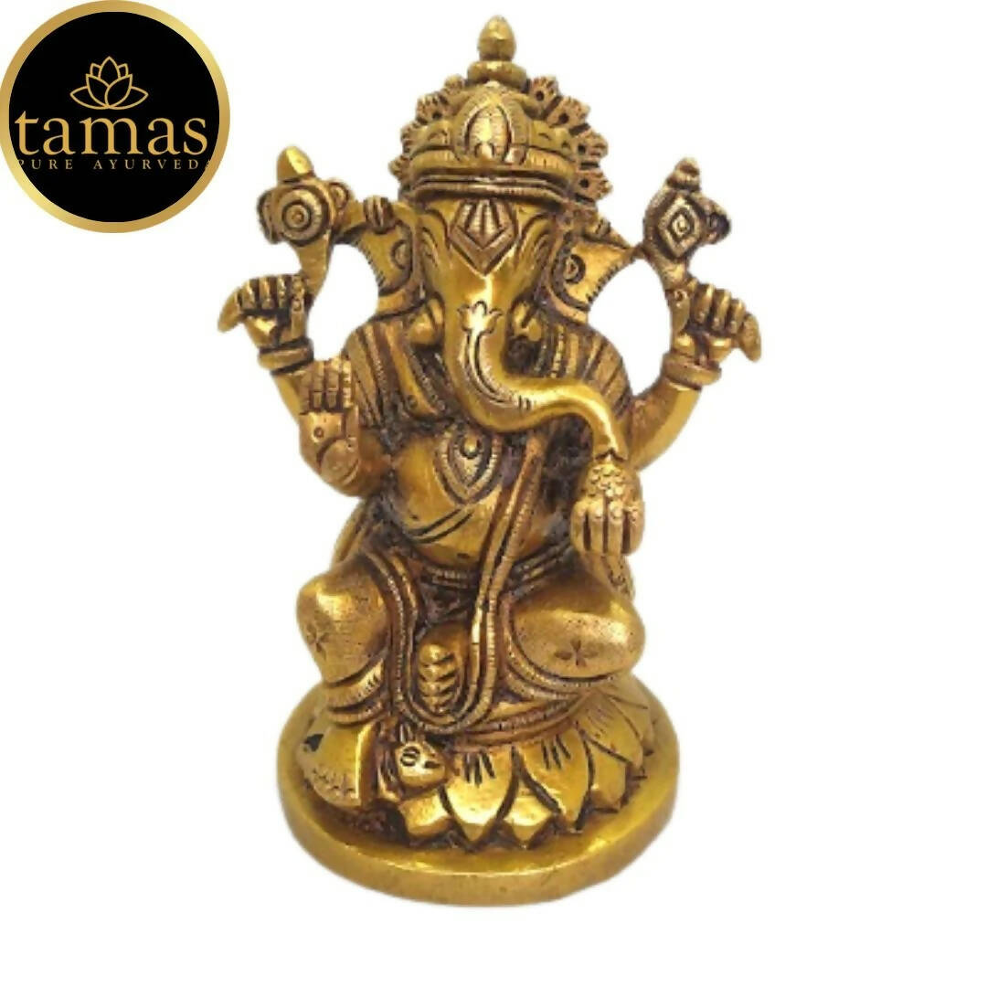 https://cdn.shopify.com/s/files/1/1857/6931/products/R2x7NwWSOk.jpg?v=1681474563