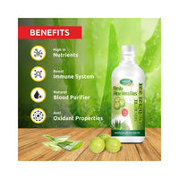 https://cdn.shopify.com/s/files/1/1857/6931/products/R584Kt6ZAt.jpg?v=1642593418
