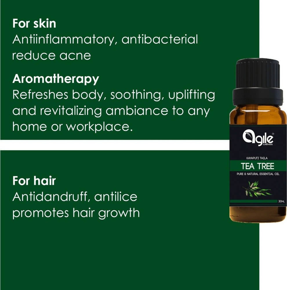 https://cdn.shopify.com/s/files/1/1857/6931/files/R5NKrTOv19-221461.jpg?v=1736144035