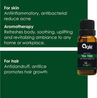 https://cdn.shopify.com/s/files/1/1857/6931/files/R5NKrTOv19-221461.jpg?v=1736144035