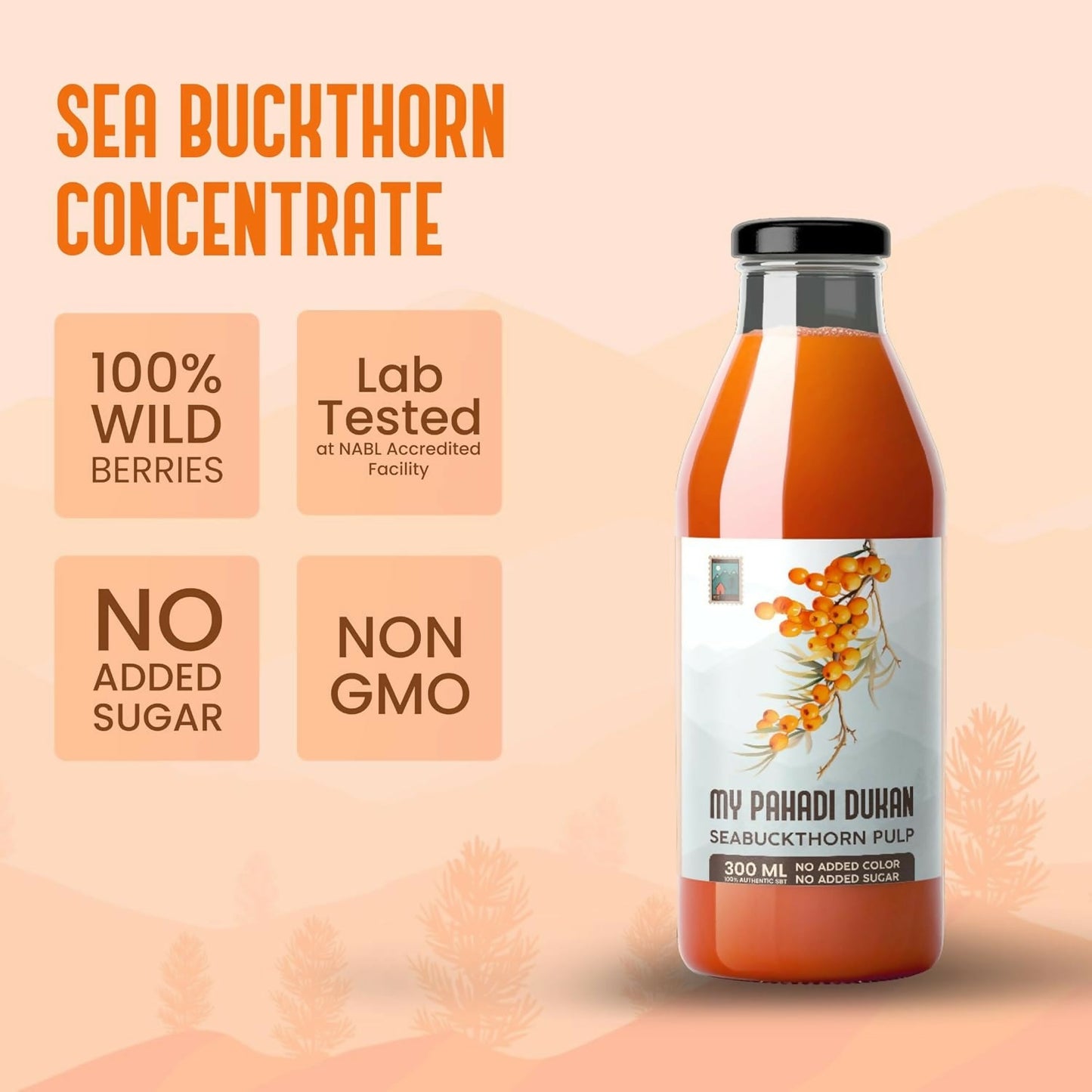https://cdn.shopify.com/s/files/1/1857/6931/files/R8EFg0Rv0d.jpg?v=1770095139
