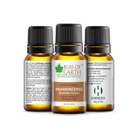 https://cdn.shopify.com/s/files/1/1857/6931/products/RBJIc1Xif8.jpg?v=1674542732