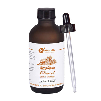 https://cdn.shopify.com/s/files/1/1857/6931/products/RBTJOjlaCU.jpg?v=1623484630
