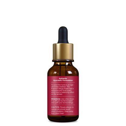 https://cdn.shopify.com/s/files/1/1857/6931/products/RBVJEhk3Qe.jpg?v=1613913891