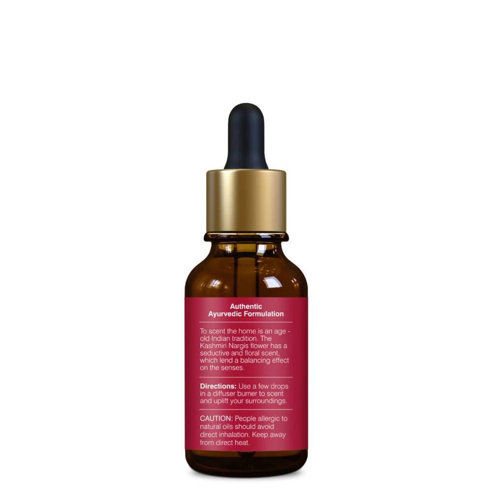 https://cdn.shopify.com/s/files/1/1857/6931/products/RBVJEhk3Qe.jpg?v=1613913891