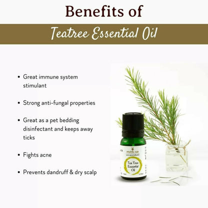 https://cdn.shopify.com/s/files/1/1857/6931/products/RBaWecnoVF.jpg?v=1670583415