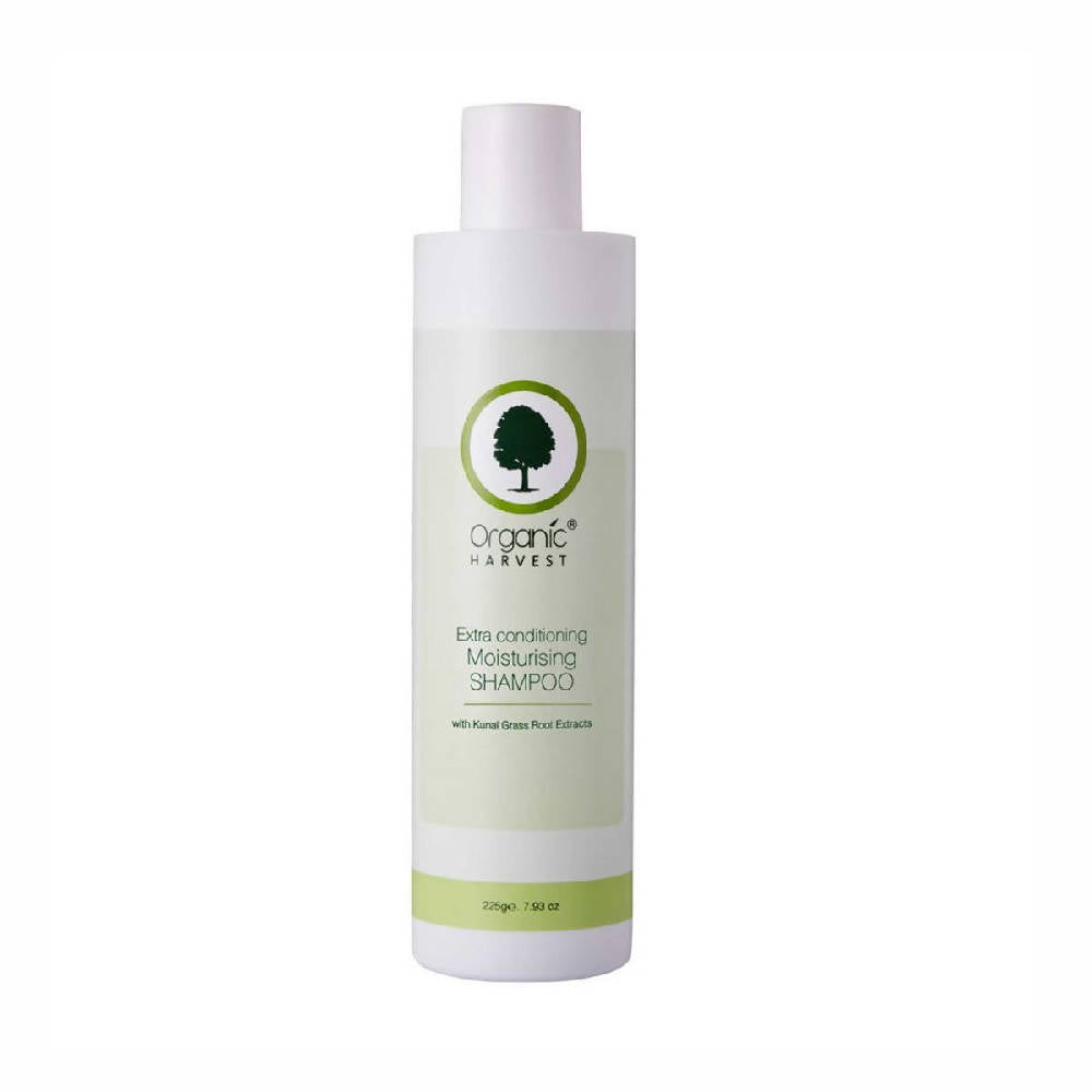 https://cdn.shopify.com/s/files/1/1857/6931/products/REujdPq4Rt.jpg?v=1759275438