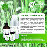https://cdn.shopify.com/s/files/1/1857/6931/products/RI1uxxLzho.jpg?v=1623485317