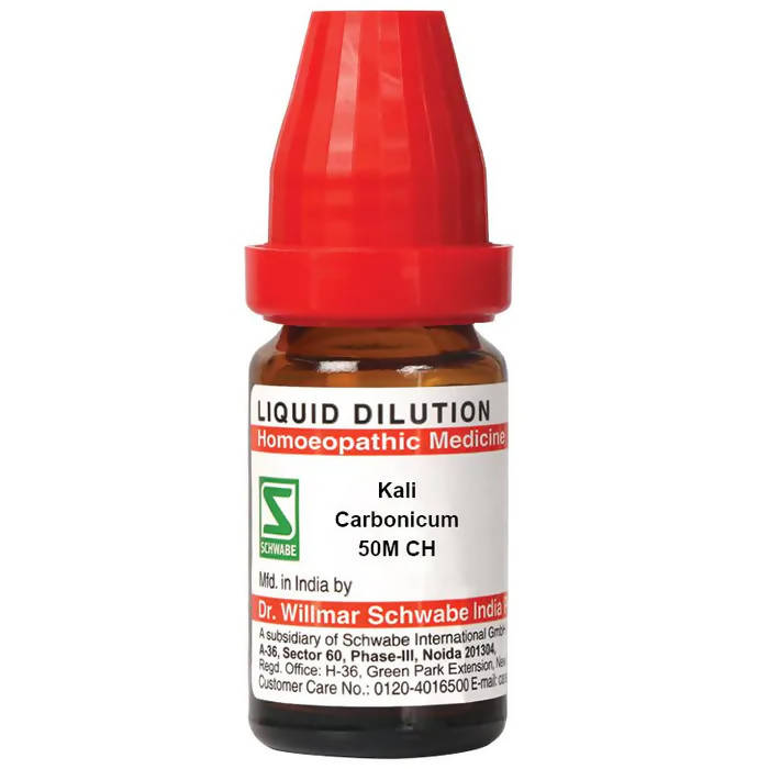 https://cdn.shopify.com/s/files/1/1857/6931/products/RJ10qlKAxx.jpg?v=1655271007