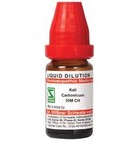 https://cdn.shopify.com/s/files/1/1857/6931/products/RJ10qlKAxx.jpg?v=1655271007
