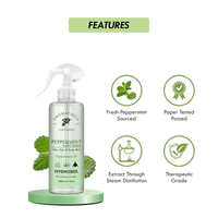 https://cdn.shopify.com/s/files/1/1857/6931/files/RKD0S7AqEk-487981.png?v=1736149329