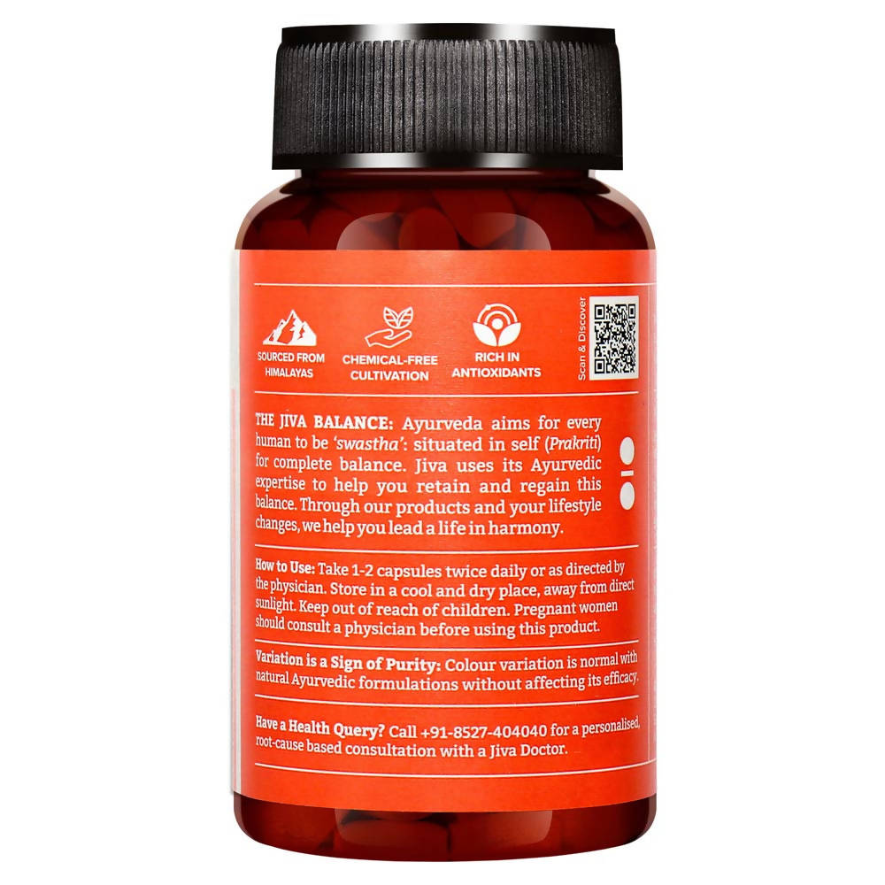https://cdn.shopify.com/s/files/1/1857/6931/products/RLsO2WUyob.jpg?v=1623983878