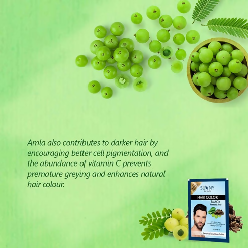 https://cdn.shopify.com/s/files/1/1857/6931/files/RMIZnz07YK.png?v=1755772361