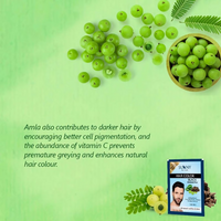 https://cdn.shopify.com/s/files/1/1857/6931/files/RMIZnz07YK.png?v=1755772361