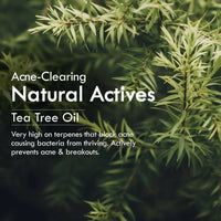 https://cdn.shopify.com/s/files/1/1857/6931/products/RMlDd8uNHF.jpg?v=1701088396