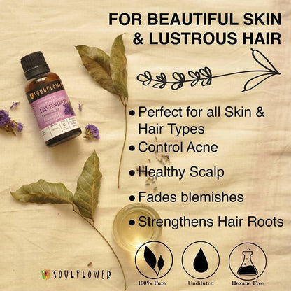 https://cdn.shopify.com/s/files/1/1857/6931/products/RNJomKGHQF.jpg?v=1614911236
