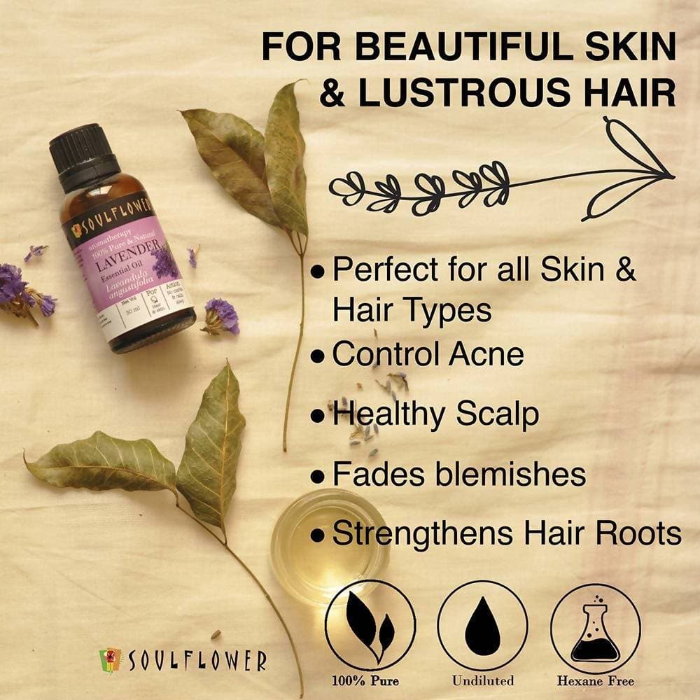 https://cdn.shopify.com/s/files/1/1857/6931/products/RNJomKGHQF.jpg?v=1614911236
