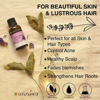 https://cdn.shopify.com/s/files/1/1857/6931/products/RNJomKGHQF.jpg?v=1614911236