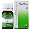 https://cdn.shopify.com/s/files/1/1857/6931/products/RNMzybJEQz.jpg?v=1737558972